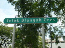 Blk 4A Telok Blangah Crescent (S)091004 #82652